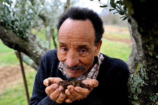 Pierre Rabhi, au nom de la terre